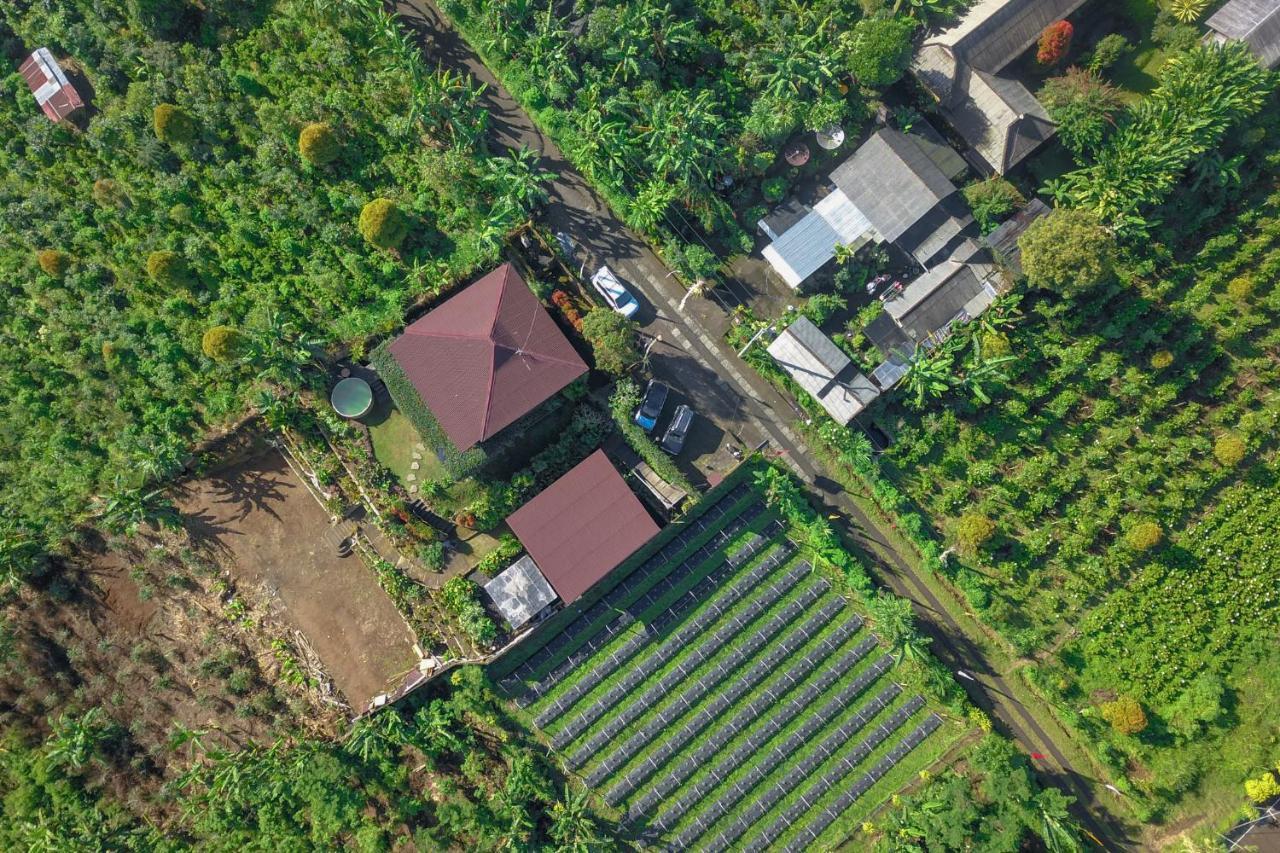 Kayukopi Villa Munduk  Exterior photo